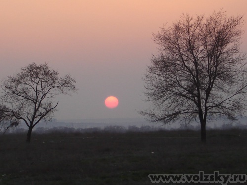 ��������: �����.