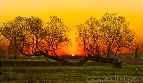 ����: ������� �� ������