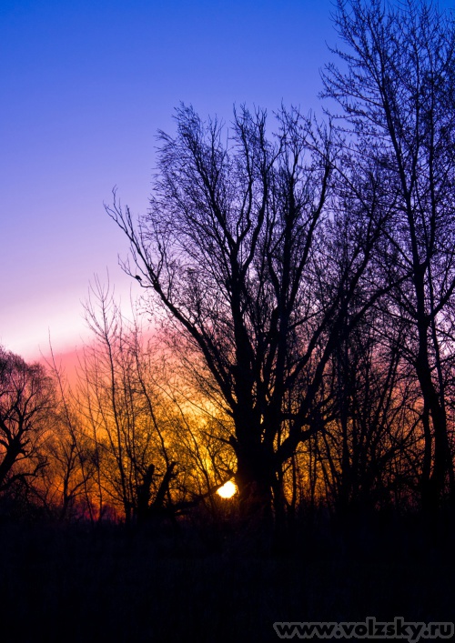 ����: �� ������� "�������"