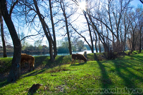 ����: � �����