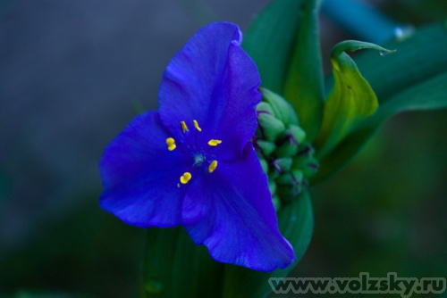 ����: �� ������� "�����"