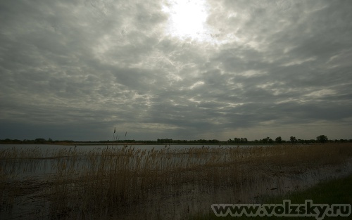 ���: ������ �����