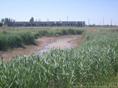 ������: ����� ���.����������������� (���������)