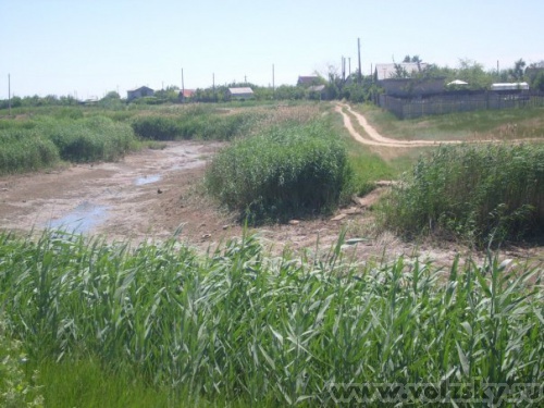 ������: ���.����������������� ( ���������)