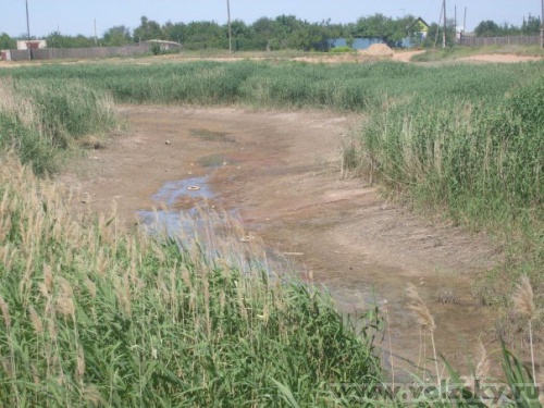 ������: � ����� �� �������� ���� � ���� ���.����������������� ( ���������)