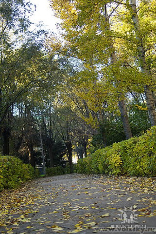 �������: ������� � �����