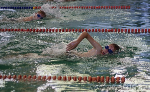 Konstantinovich: ������