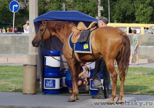 Konstantinovich:  24.07