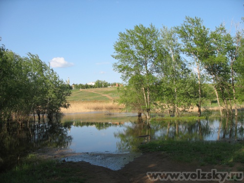 ������: ����� 2010