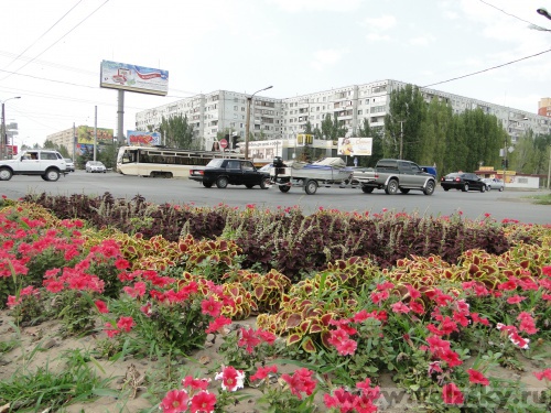 ��������: ��. ����