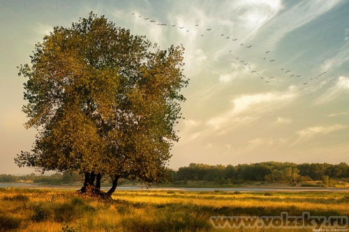 �����: ���� �������