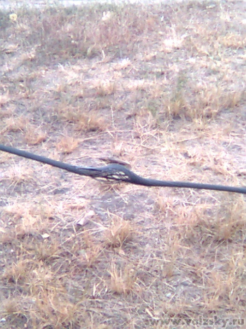 ����: �� ���� ������� ������� ���� ��� ����� ����������,��� ������ ��� ��� ����� ��� ���������?