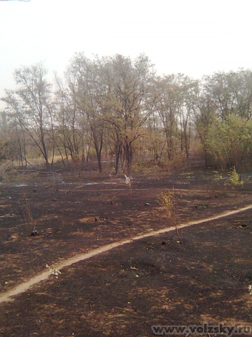 ����: ���������� ��������� �������� ���� �� ���� ������� � �������