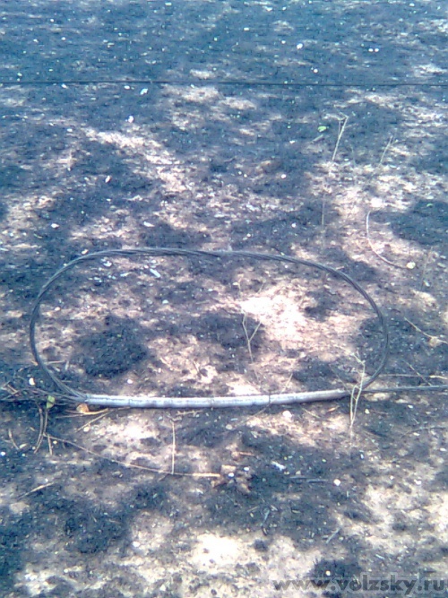 ����: ������� ������� ����� ������ �� ���,������ � 8 ��-� �������� ����������� ��������� ���������