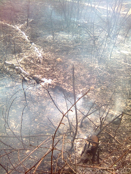 ����: ��� ���������� ����� � ������� � ��������� �������� ���� � 8 �����������