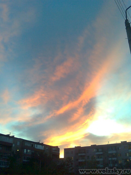 ���������: �������