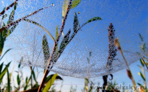 Konstantinovich: ������������ �������� �� ������