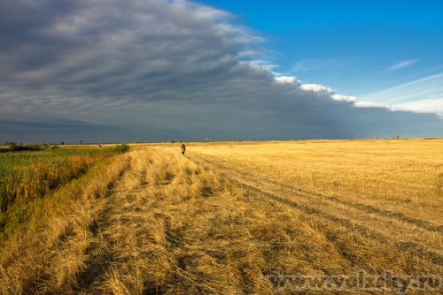 ����: ����� ���� ������.