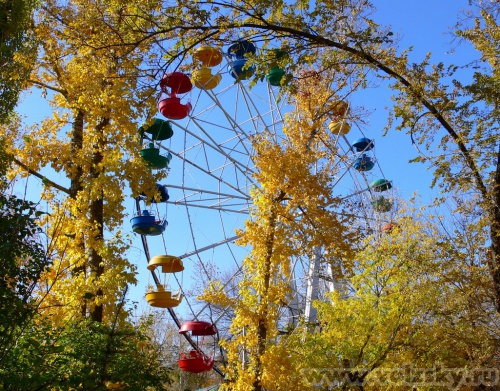 Konstantinovich: ������� ������