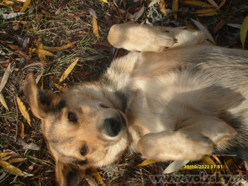 ����: ������ ���� ��������