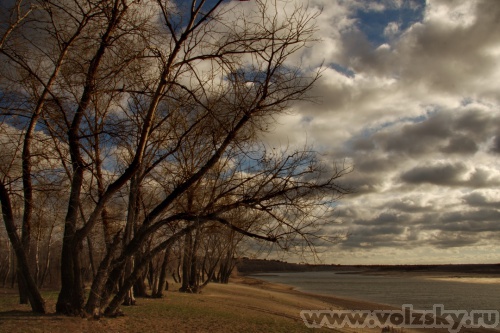 Konstantinovich: 1 ������� 2010