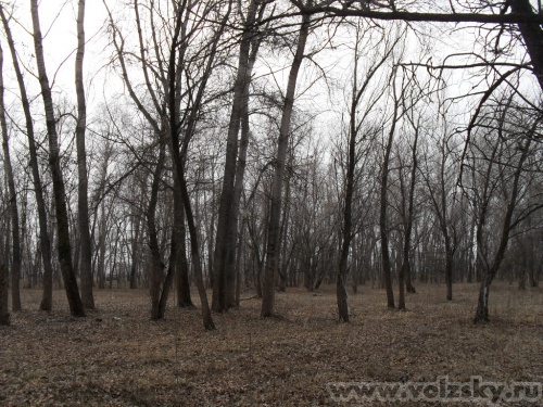 ����: �������������� �������