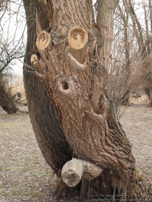 ����: �������������� �������