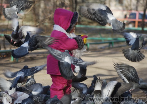 Konstantinovich: ������� � �����