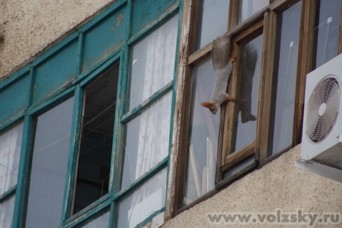 Konstantinovich: ���� �� 5 �����