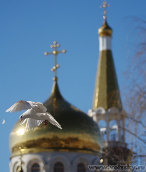 Konstantinovich: ������