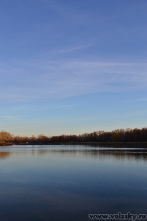 �����: ...