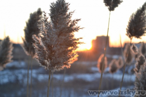 �����: ...