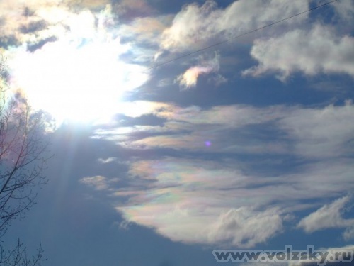 �����: ...