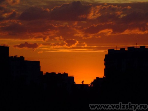 �����: ...