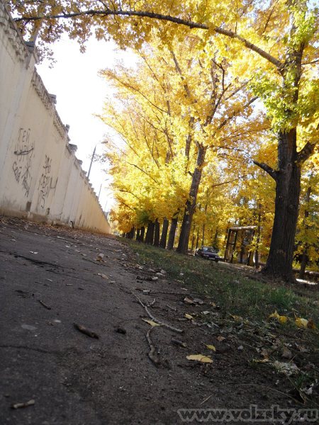 ������: ����� ������� 2010