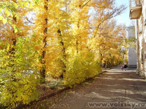 ������: ����� ������� 2010