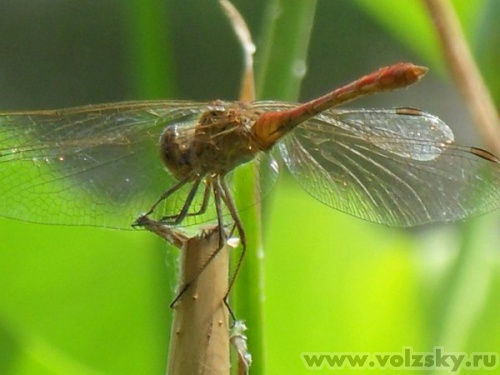 ������: �������� �� ������