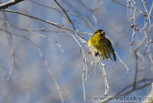 Konstantinovich: 1 ����� � ������ �� ��. ������������