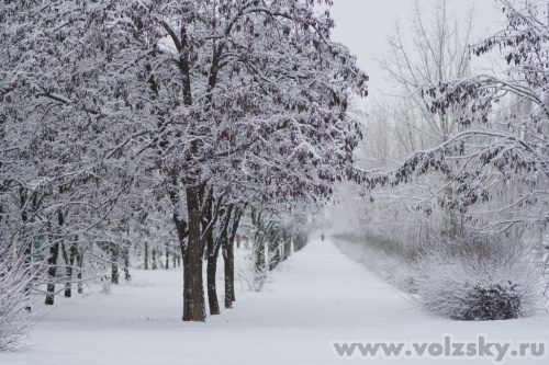 Konstantinovich:  7  2011