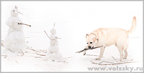 Andrey: ������ ����