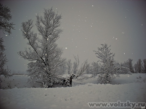 ������� ������: ������ ����