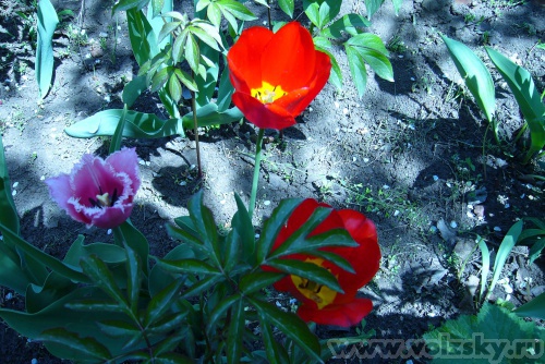 ������: �������� ��������