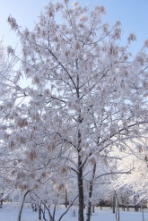 ������: ����� ����������