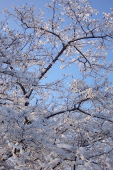 ������: ������ ��� �������� �������