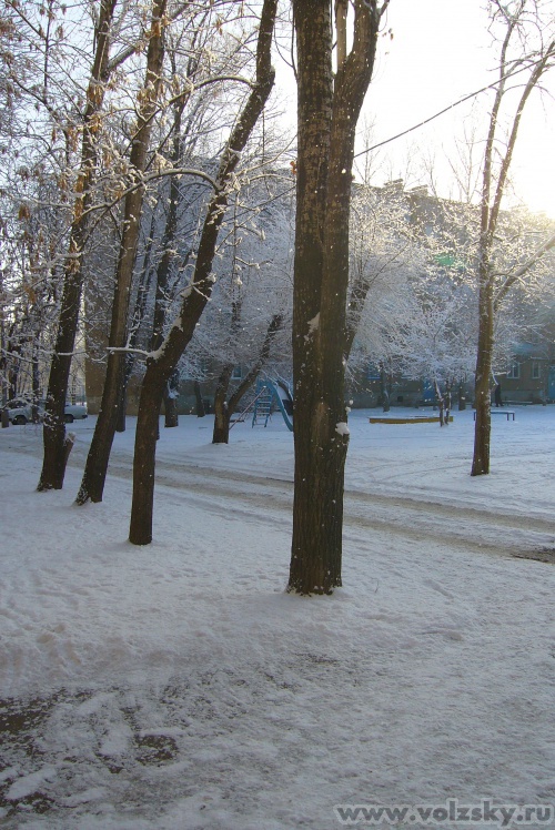 ������: ������ ������