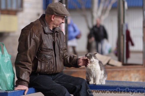 Konstantinovich: ������