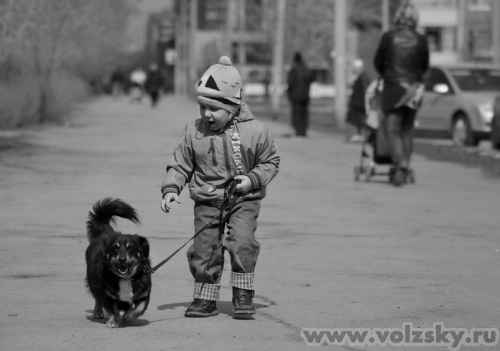 Konstantinovich: �����