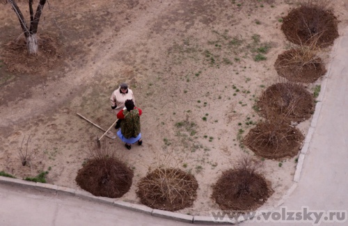 Konstantinovich: ��������, ������