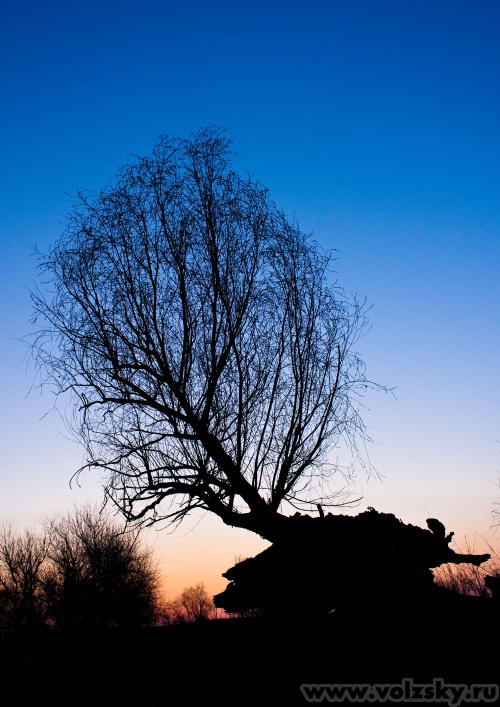 ������: ...