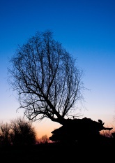 ������: ...